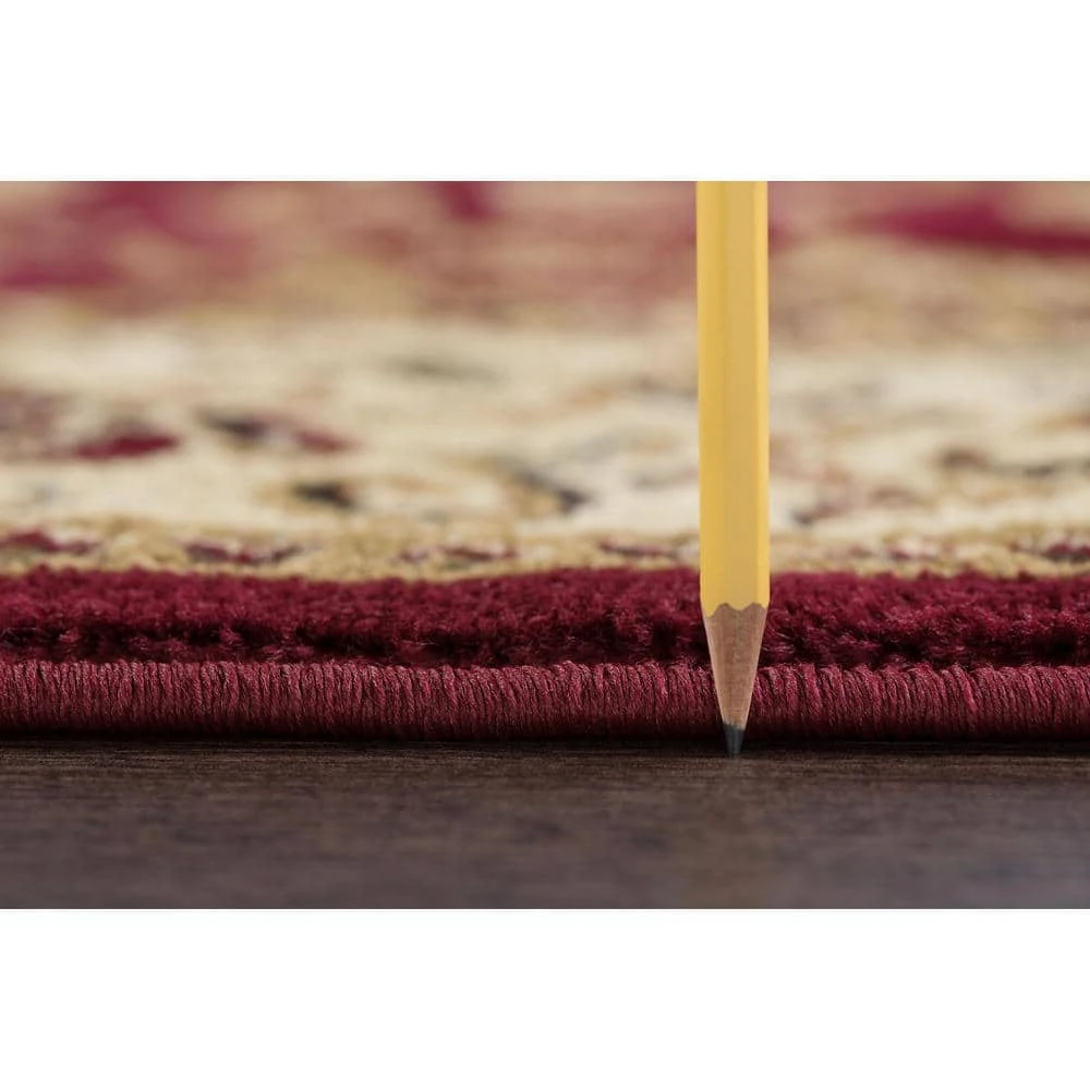 Elegance Oriental Red 8 ft. x 10 ft. Indoor Area Rug by Tayse Rugs 4 Elegance Oriental Red 8 ft. x 10 ft. Indoor Area Rug by Tayse Rugs - Image 2